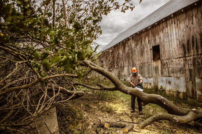 STIHL® MS 362